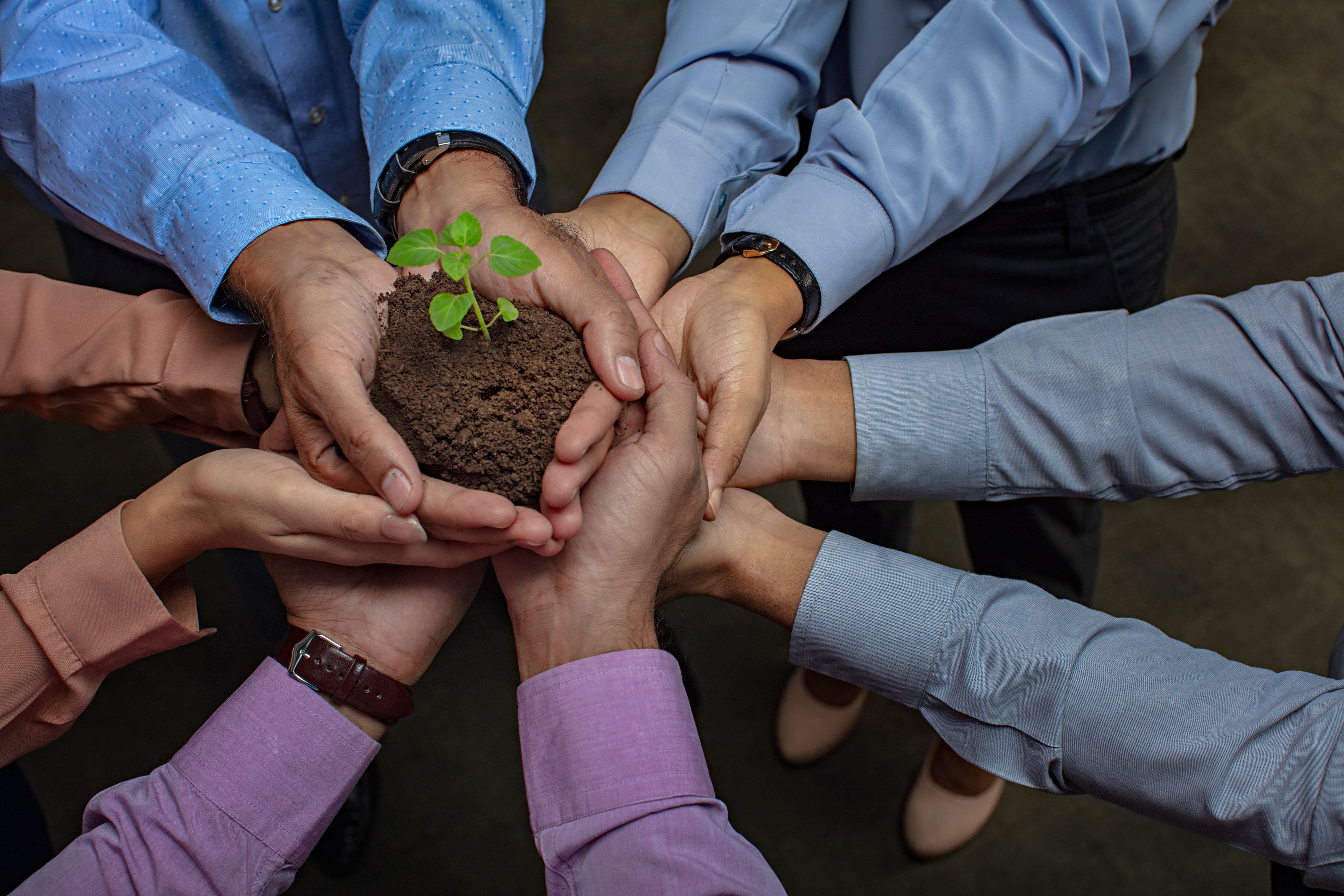 Environmental Stewardship