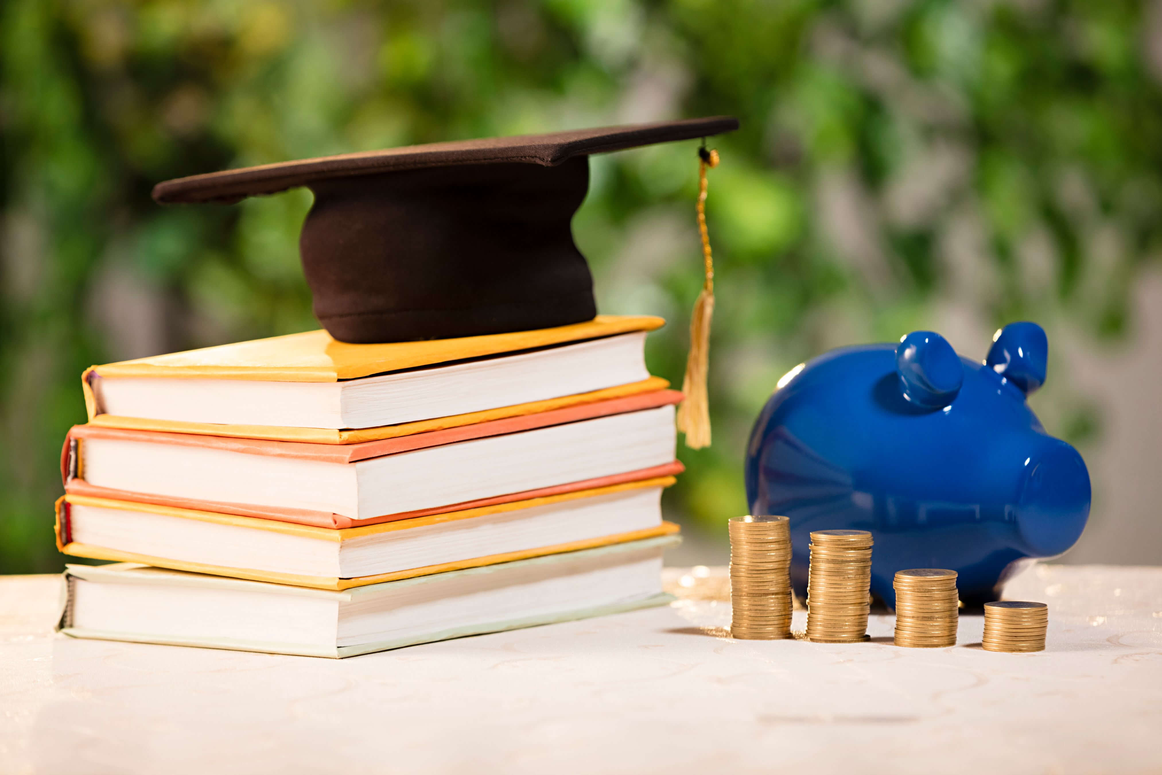 Education & Skill-Building